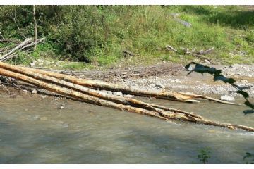 Autorizzazione alla raccolta del legname caduto nell'alveo dei corsi d'acqua non arginati 