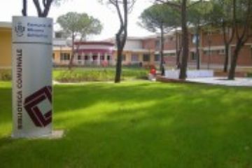 Sfoglia la galleria